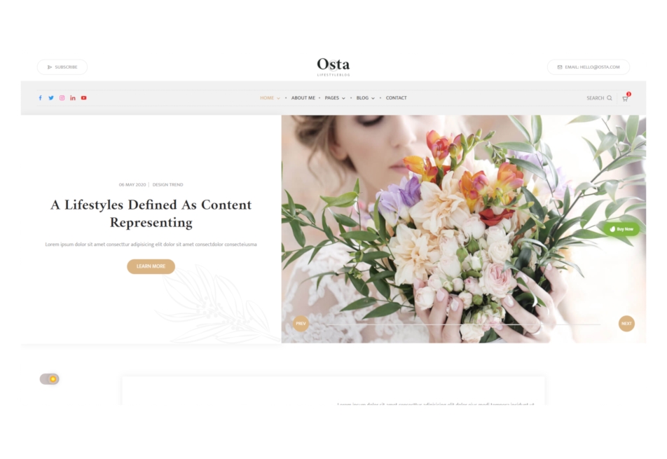 Osta website thumbnail
